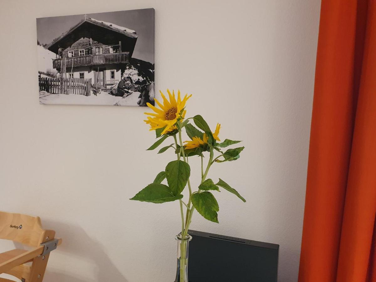 Apartment "Kuenstlhaeusl" ヨッホベルク エクステリア 写真